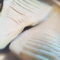 まんまちゃん♪'s cooksnap of when they made 筍の下処理とゆで方!.