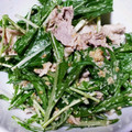 meise17's cooksnap of when they made 簡単☆ささみと水菜のマヨ胡麻和え.