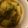 お気楽な嫁。's cooksnap of when they made 幼児食に☆カレー粉で簡単手作りカレー.