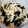 noritomai's cooksnap of when they made 火を使わない☆新玉葱とワカメの中華和え♪.