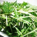 あつにゃんこ's cooksnap of when they made 簡単切るだけ水菜サラダ.