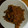 もりのりころ's cooksnap of when they made しゃきしゃきごぼうの甘辛合えwith生姜.