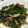 mezuchin's cooksnap of when they made ほうれん草ときのこのあんかけ卵.