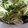 atahei10's cooksnap of when they made 極旨っ✴︎やみつきネギ.