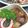 こうぶんママ's cooksnap of when they made じゃがいものはちみつ味噌炒め.