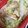 クック7G6L7A☆'s cooksnap of when they made 簡単♡白菜とエリンギのレンジ蒸し.