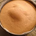 naomi666's cooksnap of when they made 失敗なし！サラダ油でスポンジケーキ☆.