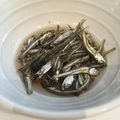 ゆずたんち☆'s cooksnap of when they made いつでも☆何にでも❤小魚の甘酢漬け♪.