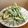 saku0655's cooksnap of when they made ニラだけ！！やみつきカリカリ揚げ.