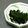 ☆こまっと☆'s cooksnap of when they made シンプル簡単生わかめ生姜醤油.