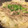 accco_U's cooksnap of when they made 簡単！豚ともやしの蒸し鍋.