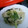 なっちゃんなす子's cooksnap of when they made さばの竜田揚げ　ネギ塩レモンだれ.