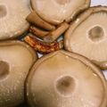 517214's cooksnap of when they made 椎茸をシンプルに美味しく焼く.
