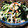 meg115's cooksnap of when they made 低カロリー♪ところてんの酢の物.