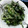 はらだぺこちゃん's cooksnap of when they made 春菊の胡麻マヨ和え.