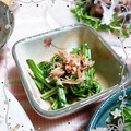 ＴＯＭＯＷＡＴ's cooksnap of when they made こごみのおひたし☆白だし仕立て♪.