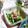 ＴＯＭＯＷＡＴ's cooksnap of when they made こごみのおひたし☆白だし仕立て♪.