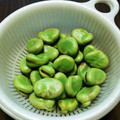 ひいらぎちゃんママ's cooksnap of when they made 簡単おつまみに！そら豆の茹で方！.