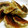 さとみーにょ's cooksnap of when they made もちもち焼きギョウザ.