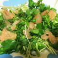 じゅるちゃん's cooksnap of when they made クレソンとグレープフルーツのサラダ★.