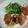 のんよんふぁ's cooksnap of when they made 鶏もも肉の味噌焼き☆.