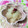 いっくんママン☆'s cooksnap of when they made かぶの桜漬け.