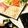 よcco's cooksnap of when they made 一度食べたら止まらない！海苔巻きサラダ.