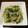 りこまこせいやのパパ's cooksnap of when they made 簡単　節約　もやしとニラの炒めもの.