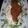 マダムユキ's cooksnap of when they made バンバンジー＠手作り和風アーモンドソース.