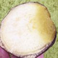 時短だいすき's cooksnap of when they made レンジで簡単焼き芋.