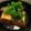 PARNELL's cooksnap of when they made 簡単☆めんつゆでピリッと揚げ出し豆腐.