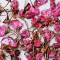 おおなべ's cooksnap of when they made 桜の花の塩漬け.