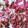 おおなべ's cooksnap of when they made 桜の花の塩漬け.