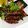 xxeeeeeexx's cooksnap of when they made うちカフェごはん＊牛バラ肉のアスパラ巻き.