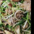 料理★勉強中's cooksnap of when they made 豚肉と豆苗ともやしのオイスター炒め.