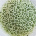 たりんく's cooksnap of when they made リラックスしたい時に飲むスムージー.