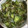 ata7yg94s's cooksnap of when they made きゅうりと塩こんぶで★酢の物.