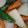うばい's cooksnap of when they made 【使いきり】残り野菜の甘酢漬け.