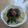 ラリー＆サラ's cooksnap of when they made 南高梅と釜揚げしらすのワンポットパスタ.