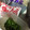 みぶ菜's cooksnap of when they made ほうれん草の塩こんぶ和え.