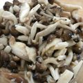 Hitomiwon's cooksnap of when they made ゴマ香る✿塩麹きのこ✿.