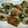 クックPSEVJK☆'s cooksnap of when they made しそ巻き巻き新玉ﾛｰﾙ.