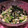 cocoism's cooksnap of when they made 小女子におかかとネギ和え.