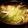 すみれごはん's cooksnap of when they made 激安献立　お吸い物.