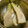 アーリーバードまま's cooksnap of when they made とれたて新鮮！！筍のあく抜き.
