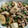 こんじゃ's cooksnap of when they made オクラ＆厚揚げ＆鶏挽肉の煮物.