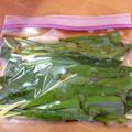７０００'s cooksnap of when they made 行者ニンニクしょうゆ漬け.