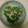 息子四人's cooksnap of when they made 春菊のからしマヨネーズ和え.