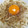 寝た坊's cooksnap of when they made 簡単！釜玉うどん風☆.