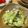 yukanosuke's cooksnap of when they made 5分で♪　キャベツの浅漬け.